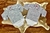 Kit Body Feminino Xadrez Manga Longa Baby 2 unidades