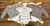 Kit Body Feminino Xadrez Mix Baby 3 unidades. - loja online