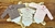 Kit Body Feminino Xadrez Mix Baby 3 unidades. - comprar online