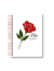 Caderno Pautado A5 Mãe Floresce - comprar online
