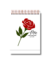 Caderno de Ideias Mãe Floresce