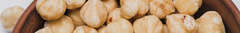 Banner da categoria Macadâmias