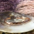 Pulseira de Cobre I - Equilíbrio de Emoções e Transmutação na internet