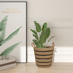 Banner de la categoría CANASTOS