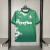 Palmeiras 2024 ~ Camiseta Especial Verde