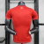 Lille LOSC 2024/25 ~ Red Player Shirt - Area 10 | CAMISETAS DE FUTBOL