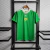Irlanda 2022 ~ Camiseta Local Verde