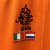 Holanda 2000 ~ Camiseta Retro Local Naranja en internet