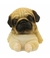 Cachorro Pug Dormindo 6.5cm - Animais Resina - comprar online