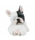 Cachorro Bulldog Francês Dormindo 7cm - Animais Resina - comprar online