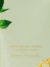 PRÉ VENDA Hidratante Wild Willow | Lançamento 2025 | victoria’s secret na internet