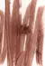 PRÉ VENDA peptide lip shape | Cor twist - warm taupe | Rhode - maqie 