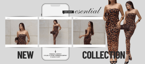Carrossel 1