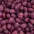 Azeitona Chilena Azapa Grande 90/110 - Rocha Brasil Store | Produtos Naturais no Atacado e Varejo