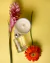 Kit Vela 110 g e Home Spray - Néroli e Frangipani - comprar online