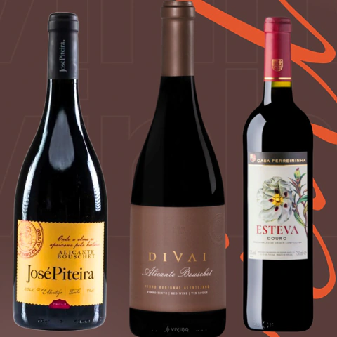 Kit Vinhos Tintos Premium – Divai Alicante Bouschet, José Piteira Alicante Bouschet, Esteva Douro