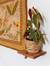 prateleirinha BELEZINHA - comprar online