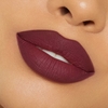 HOLLYBERRY MATTE LIP KIT