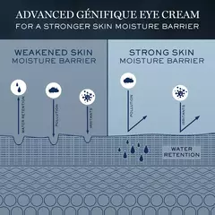 Advanced Génifique Wrinkle & Dark Circle Eye Cream