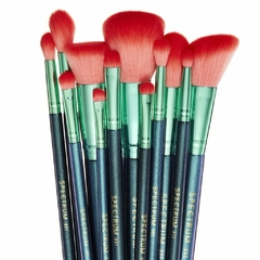 ARIEL 12 PIECE BRUSH SET & ROLL en internet