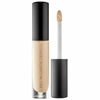 Sublime Perfection Concealer