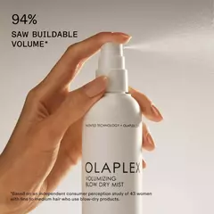 Imagen de Volumizing Hair Heat Protective Weightless Blowout Mist