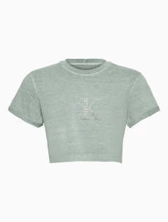 CAMISETA CKJ GIRL LOGO HOTFIX CALVIN KLEIN na internet