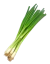 Cebolla de Verdeo x Paquete