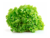 Lechuga Francesa x 250grs