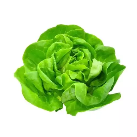 Lechuga Mantecosa x 250grs