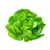 Lechuga Mantecosa x 250grs