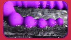 02436 | Vibrador Triplo Vai e Vem - VIPMIX