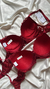 Conjunto de Lingerie Valentina Todo em Renda com Bojo Aro de Sustentação- Confortável e Sexy Vermelho - comprar online