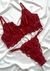 Conjunto de Lingerie Anastácia - 4 Peças: Sutiã com Aro, Calcinha, Cinta-Liga Ajustável e meia - Confortável e Sexy Rubi - loja online