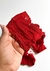 Conjunto de Lingerie Monique Em Renda Sem Bojo Com Aro de Sustentação -Confortável e Sexy Vermelho na internet