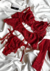 Conjunto de Lingerie Anastácia - 4 Peças: Sutiã com Aro, Calcinha, Cinta-Liga Ajustável e meia - Confortável e Sexy Rubi - loja online
