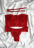 Conjunto de Lingerie Ana Corset Em Renda Sem Bojo Com Aro de Sustentação Com Alças Removíveis - Confortável e Versátil Vermelho na internet