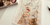 Imagem do banner rotativo 11