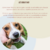 Cimalgex 80 MG: La solución para un perro saludable y feliz - México Veterinario