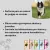 BRAVECTO 1 tab Antipulgas y Antigarrapatas. DESPARASITANTE INTERNO Y EXTERNO 12 SEMANAS - México Veterinario
