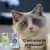 La mejor defensa contra las pulgas y garrapatas para gatos: Bravecto Plus en internet