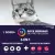 La mejor defensa contra las pulgas y garrapatas para gatos: Bravecto Plus - México Veterinario