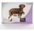 Protección Canina Avanzada: Pipeta Antiparasitaria Labyes para Perros - México Veterinario