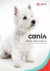 Protección Canina Avanzada: Pipeta Antiparasitaria Labyes para Perros - comprar en línea