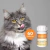 Ruiland Omega Gatos Para Piel Y Pelo Ácidos Grasos 60 Tabs - México Veterinario