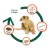 Advantage Multi: Escudo antiparasitario para perros de 10-25 kg en internet
