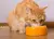 Premios Pro Plan para Gatos: Ricos en Vitaminas y Minerales - tienda en línea