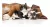 Trihepat Labyes 100 Ml Protector Hepático para Perros y Gatos en internet