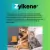 Zylkene 225mg: La solución natural para perros ansiosos - México Veterinario