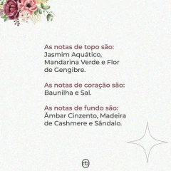 Deo Colônia New Belle nº 41 – Inspiração Olympéa - loja online